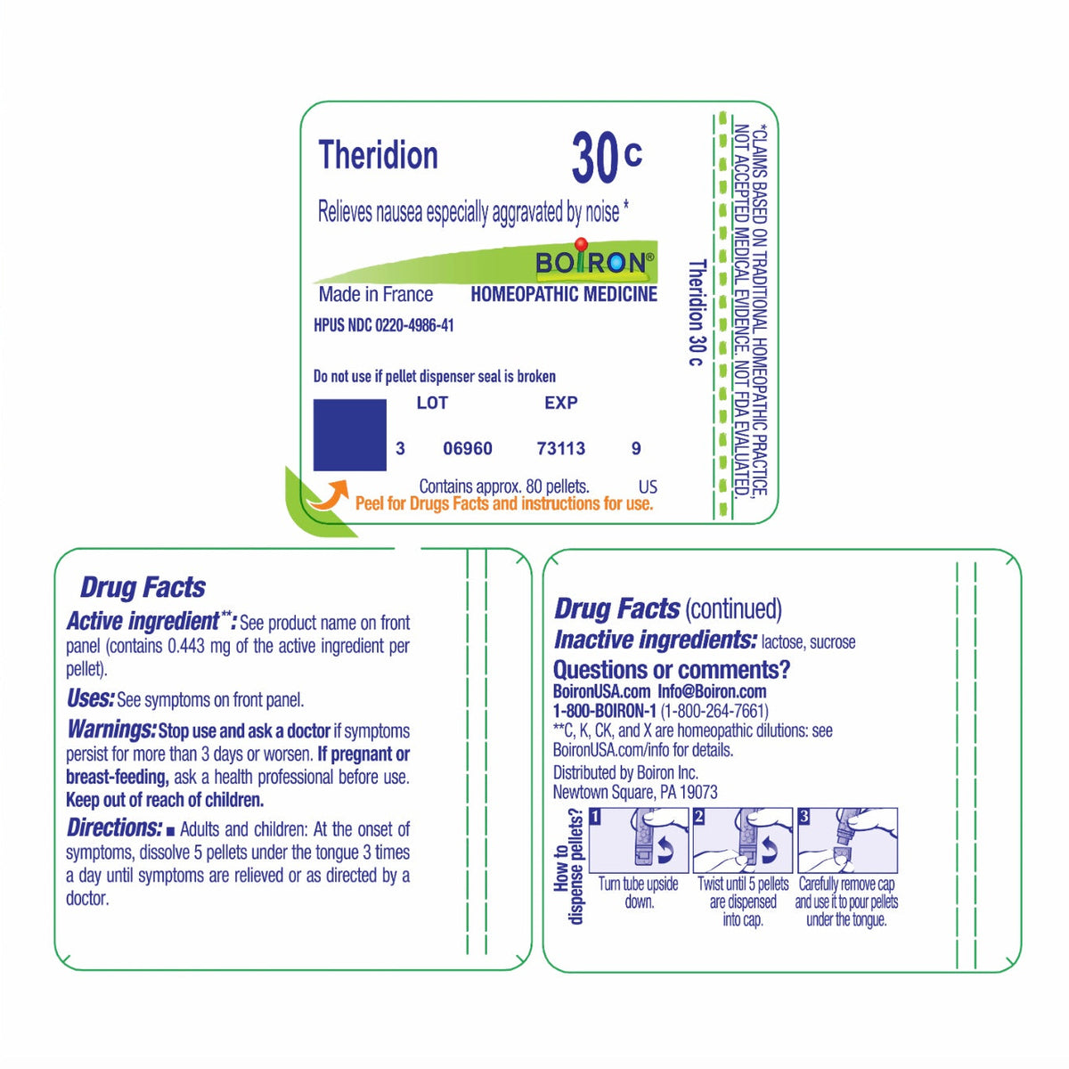 Theridion, Homeopathic Medicine to Relieve Nausea Especially Aggravated by Noise, Boiron, 80 Pills (Pill Size #40)