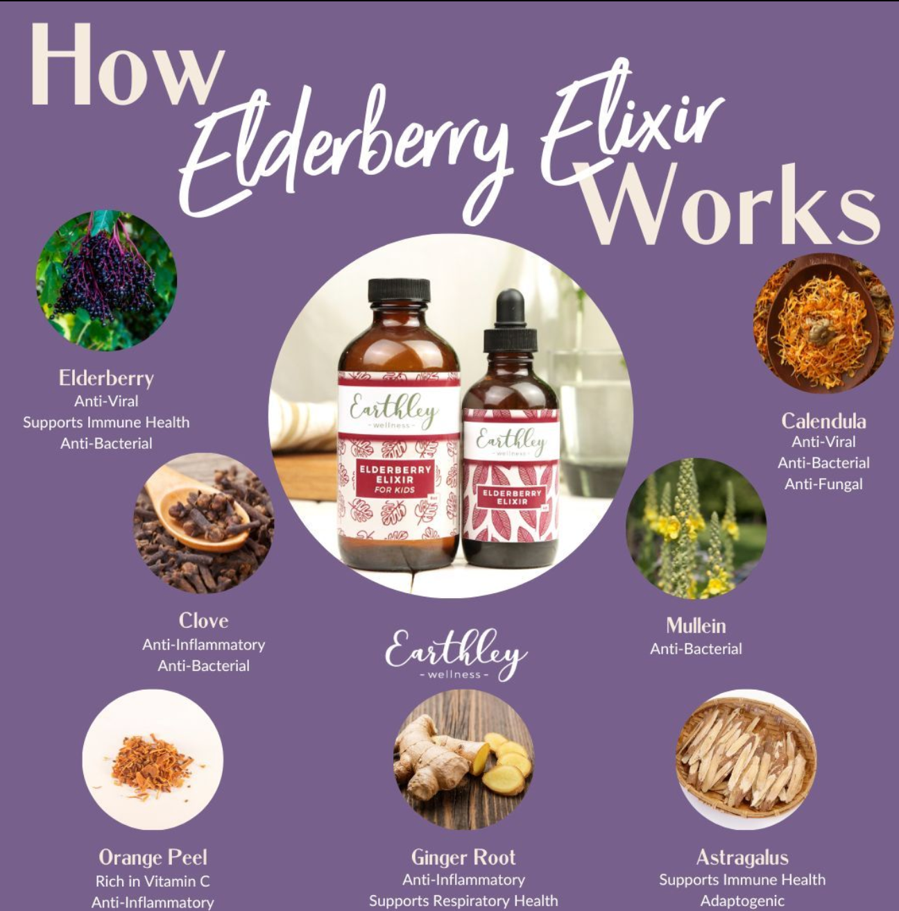 Elderberry Elixer - Respiratory & Immune System Support , 1-2oz, Earthley