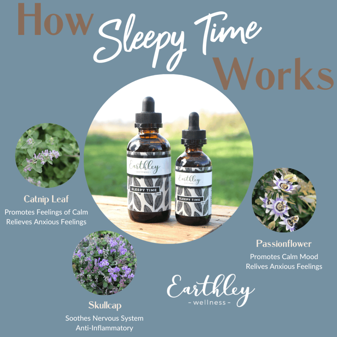 Sleepy Time - For Calm Mood and Peaceful Sleep, 1-4oz, Earthley