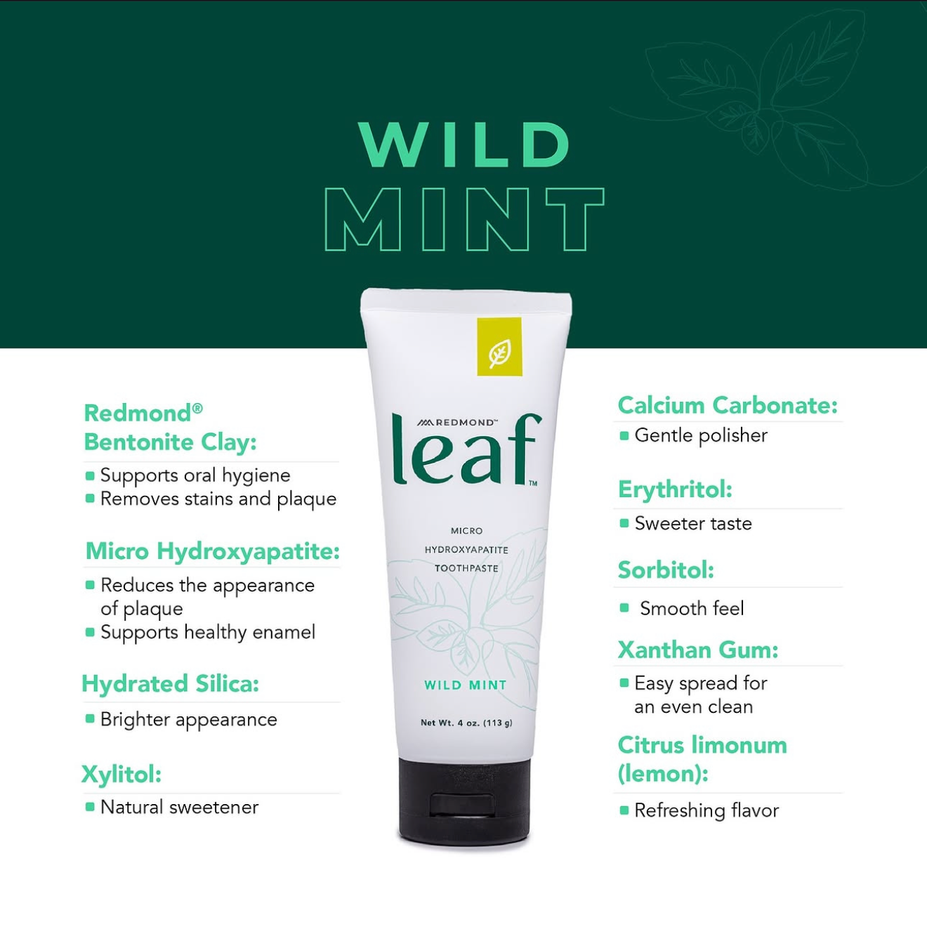 Leaf Micro Hydroxyapetite Toothpaste, 4oz, Redmond Life