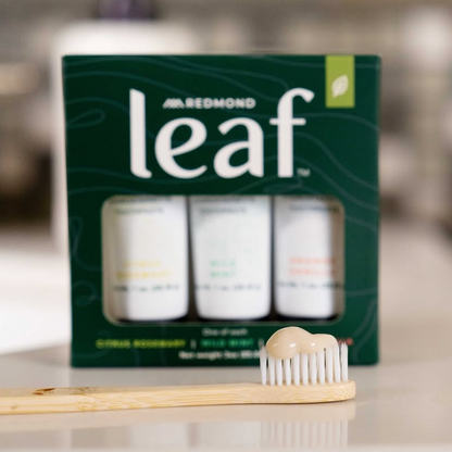 Leaf Micro Hydroxyapetite Toothpaste, 4oz, Redmond Life