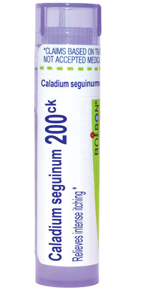 Caladium Seguinum 200CK, Homeopathic Medicine for Intense Itching, Boiron, 80 Pills (Pill Size #40)