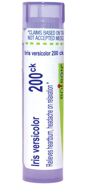 Iris Versicolor 200CK, Homeopathic Medicine for Relief of Heartburn and Headache When Relaxing, Boiron (Pill Size #40)